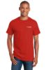 Picture of T-Shirt - Men's