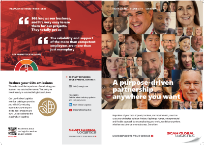 Picture of Flyer - Global Company